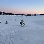 Amazing In Nissedal With Wifi Дом отдыха Fjone