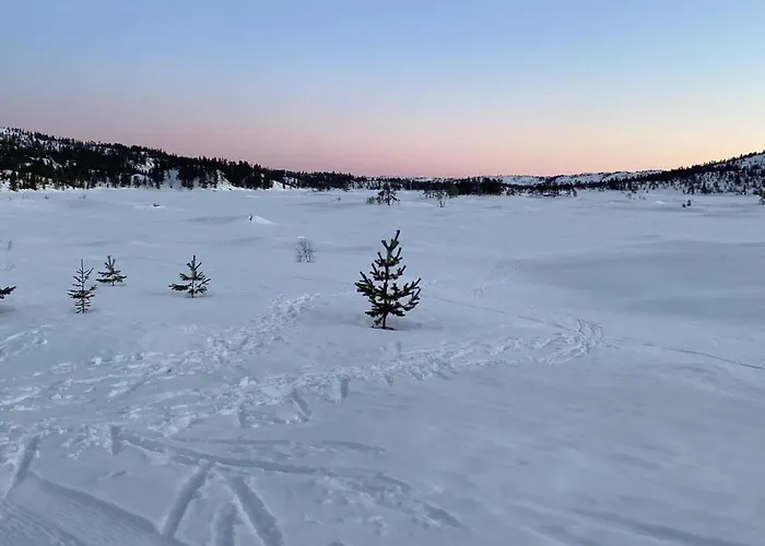 Amazing In Nissedal With Wifi Дом отдыха Fjone